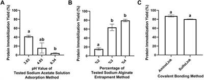 Immobilization of a Bifidobacterial Endo-ß-N-Acetylglucosaminidase to Generate Bioactive Compounds for Food Industry